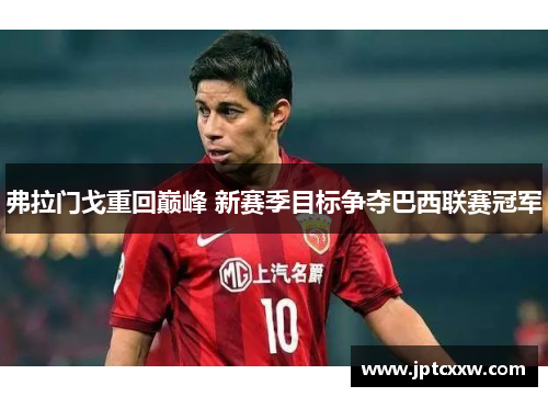 弗拉门戈重回巅峰 新赛季目标争夺巴西联赛冠军