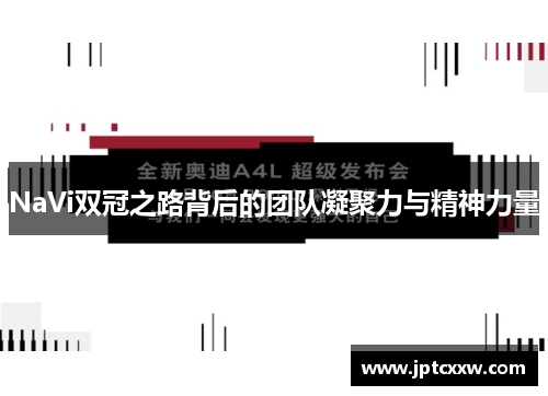 NaVi双冠之路背后的团队凝聚力与精神力量